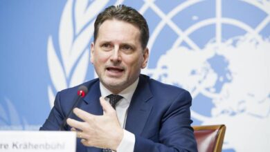 تصوير فيولين مارتن